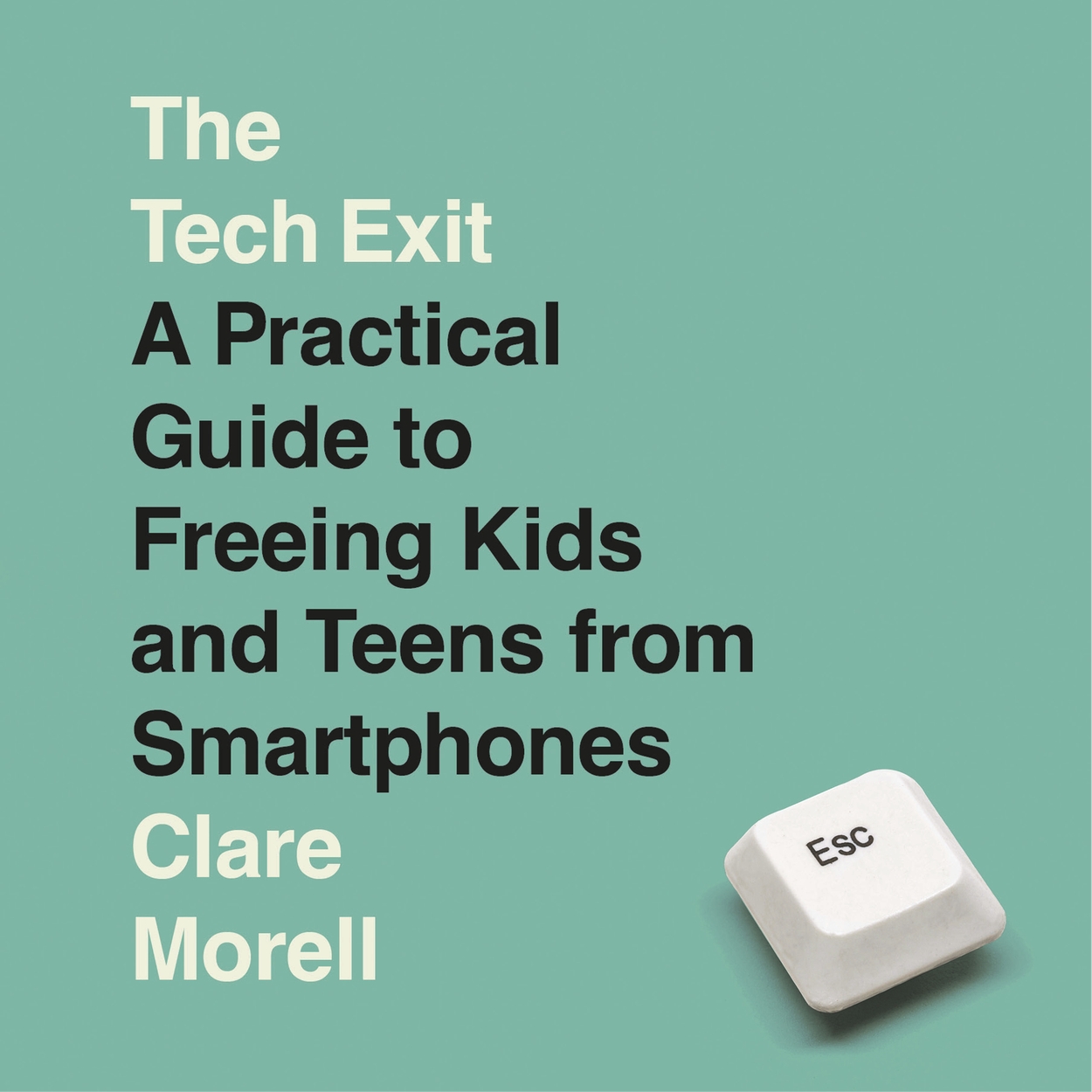 The Tech Exit by Clare Morell | Hachette UK